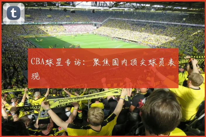 CBA球星专访：聚焦国内顶尖球员表现